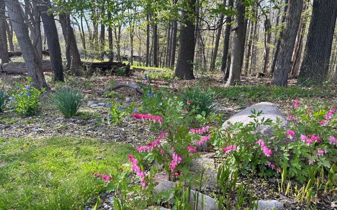 Woodland Gardens