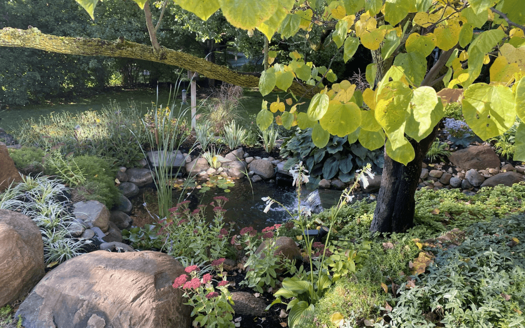 A beautiful garden