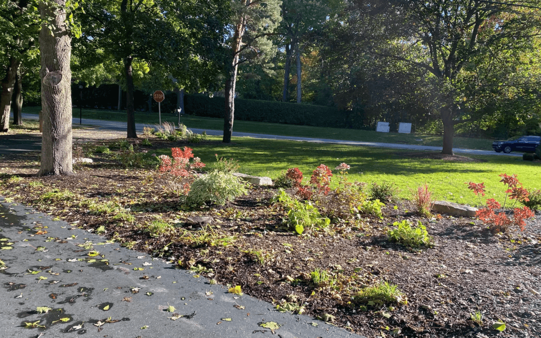 Let your garden be your eye candy