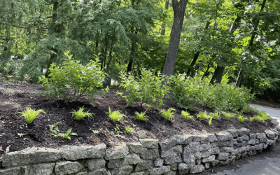 Retaining Wall Landscape Design